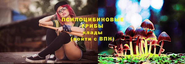 герыч Россошь
