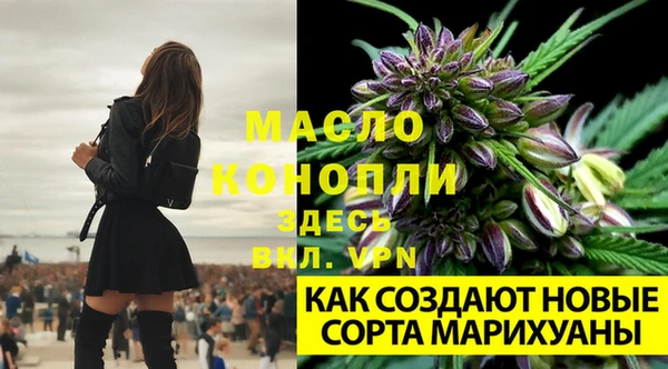 герыч Россошь