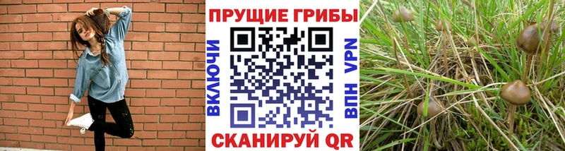 Псилоцибиновые грибы MAGIC MUSHROOMS  Струнино 